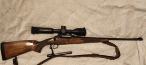 Stellar sh 50