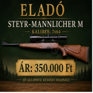 STEYR-MANNLICHER M