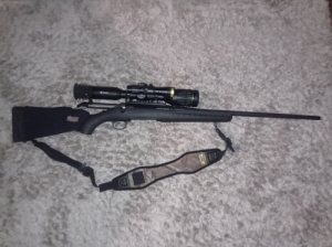 Ruger American Ruger American