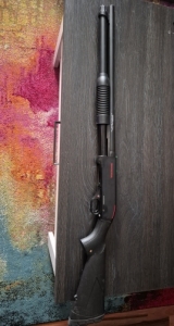Winchester sxp