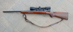 Ansch�tz 22Hornet