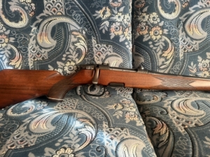 Steyr Mannlicher M