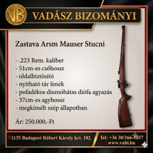 Zastava Arsm Mauser Stucni