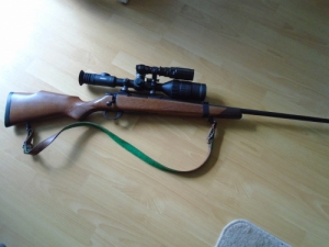 Weatherby Vanguard 308win