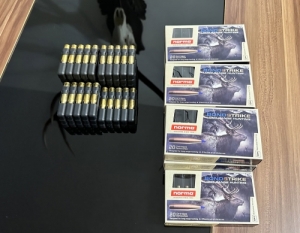 Norma bondstrike h�vely .308