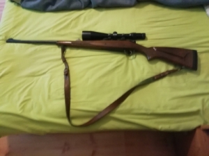 goly�s vad�szpuska