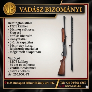 Reminton M870
