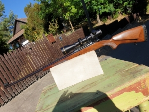 CZ 550 Medium