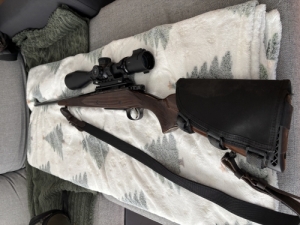 Cz 550 Medium
