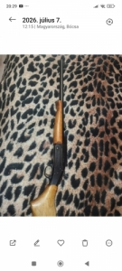Harrington & Richards 22 hornet