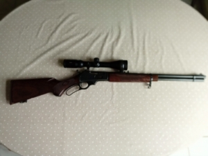 M 336 C