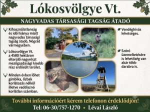 N�gr�di nagyvadas tags�g