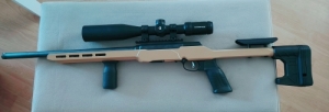 Savage A22 Precision