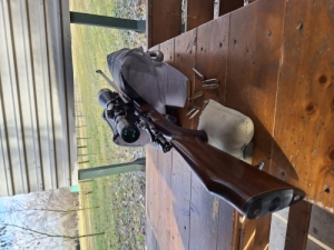 Zastava Mauser 7x64