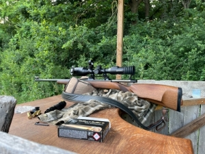 Cz 557 lux 2