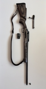 CZ 550 varmint