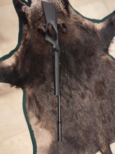 Regent 22 lr