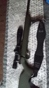Diana 0.22 win mag kispuska
