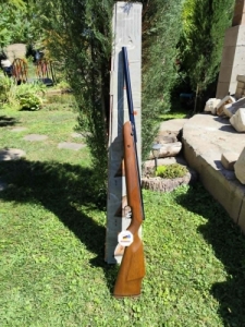 HW98 K 22 . cal . l�gpuska
