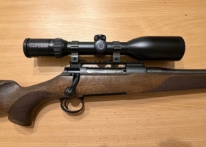 Sauer 100