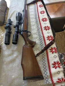 Sauer