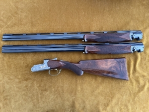 Caesar Guerini 20/76 , 410