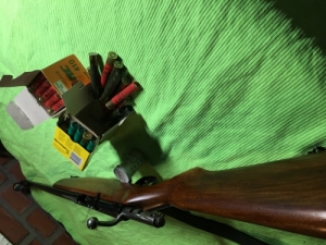 Angol Webley