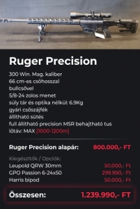 Ruger Precision