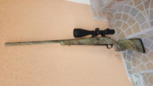 Remington m700 Seven Gamo Predator 243win