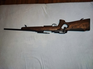 Mauser 25 Max