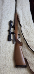 Mauser