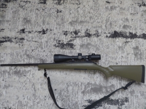 Ruger