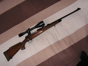 BSA
