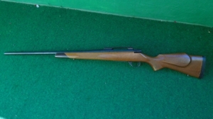 weatherby vanguard 308win