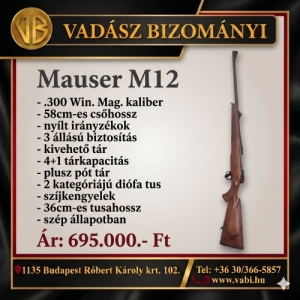 Mauser M12 .300WM.