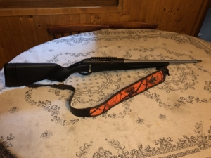 Steyr Mannlicher Pro Hunter 270 wsm